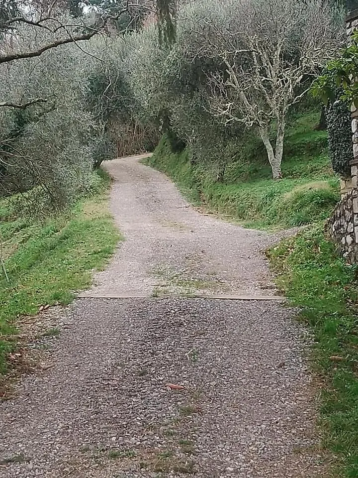 Ferienhaus Villa Casa Serena Petrognano