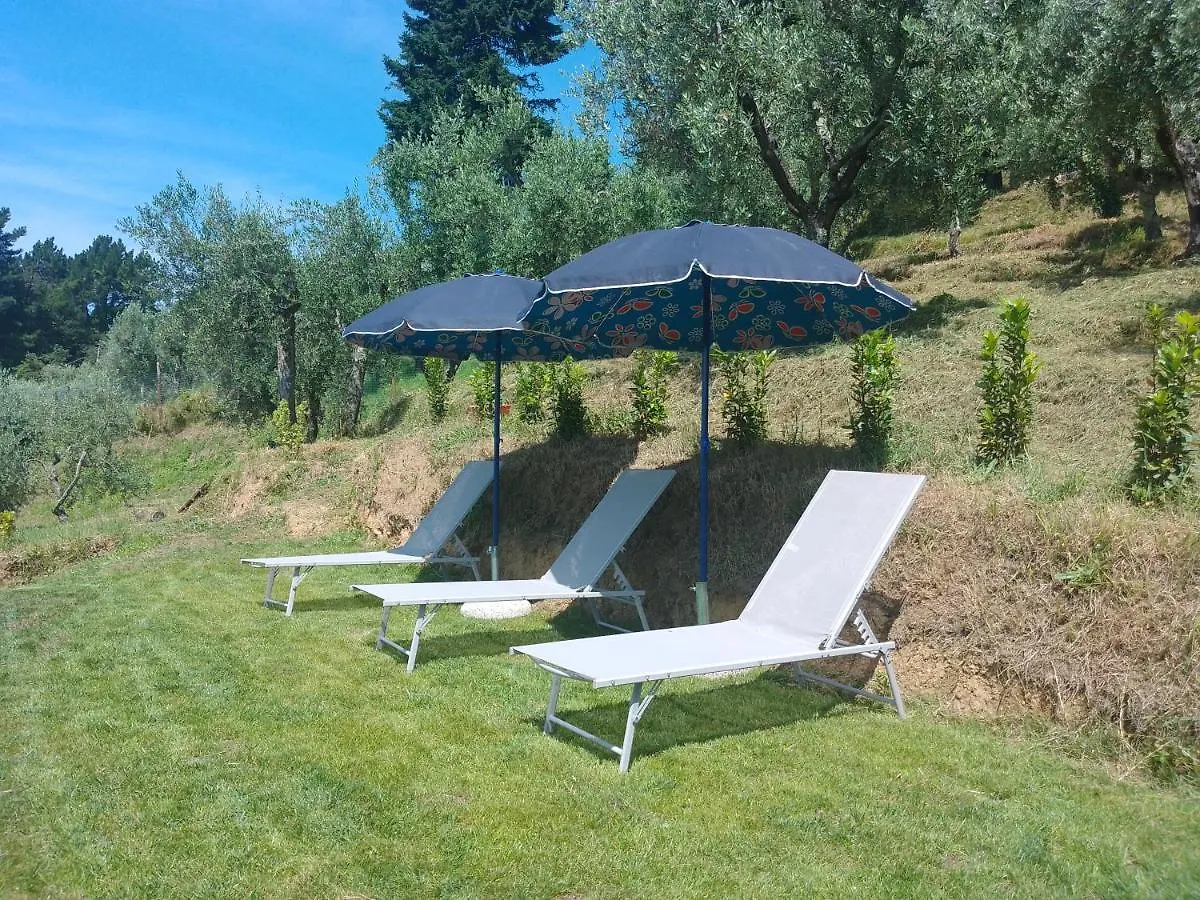 Hébergement de vacances Villa Casa Serena à Petrognano