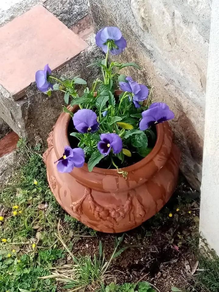 Villa Casa Serena à Petrognano